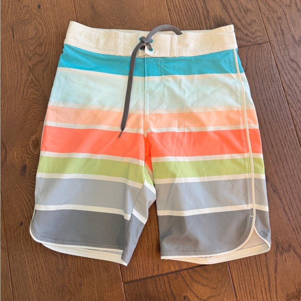 Multi-Color Striped Swim Trunks
